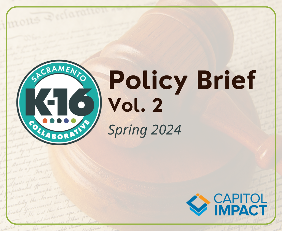 Policy Brief Vol. 2, Spring 2024