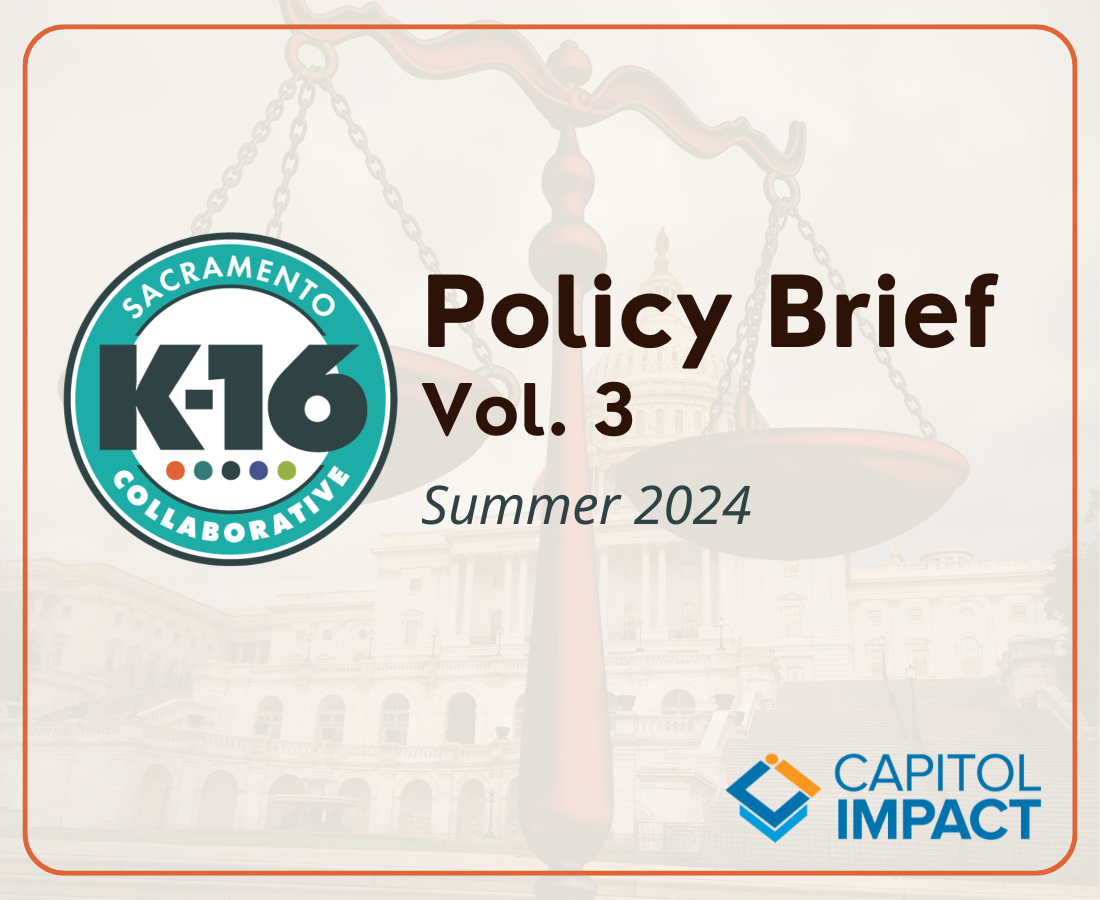 Policy Brief Vol. 3, Summer 2024