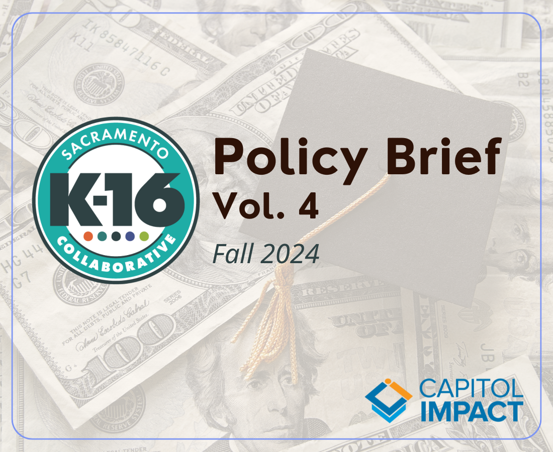 Policy Brief Vol. 4, Fall 2024