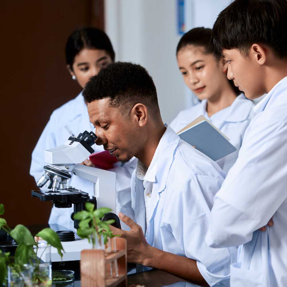 AvenueM Summer Internship Program and Seminar Course